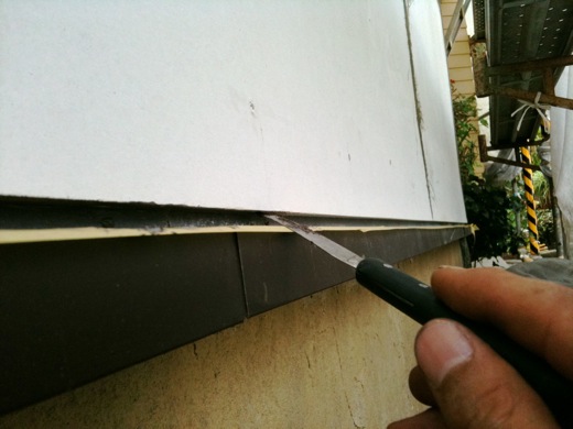 20100725.jpg
