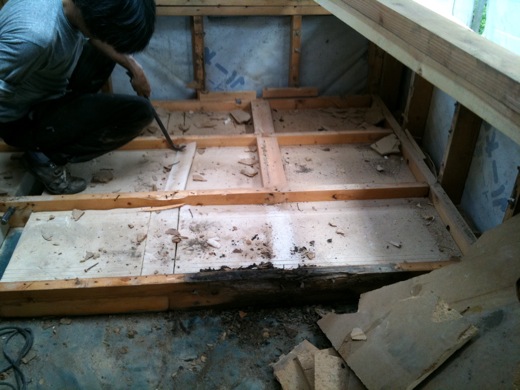 20100731.jpg